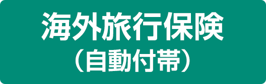 海外旅行保険